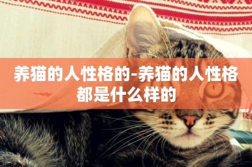 養貓的人性格的-養貓的人性格都是什么樣的