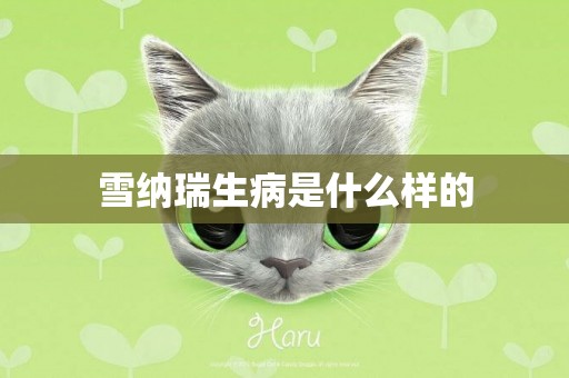雪納瑞生病是什么樣的