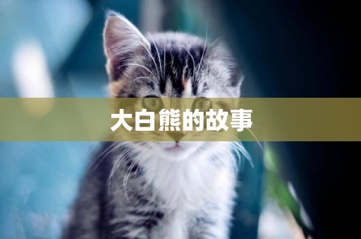 大白熊的故事