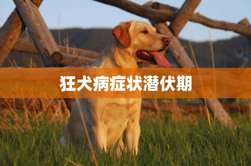狂犬病癥狀潛伏期