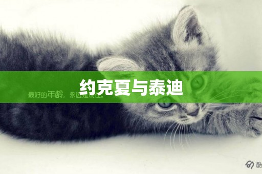 約克夏與泰迪