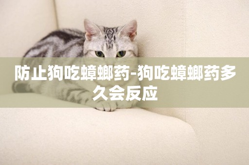 防止狗吃蟑螂藥-狗吃蟑螂藥多久會反應