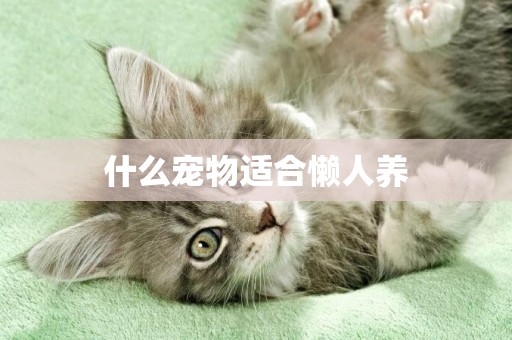 什么寵物適合懶人養
