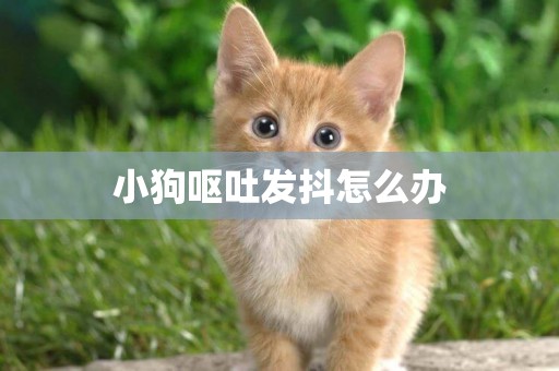 小狗嘔吐發抖怎么辦
