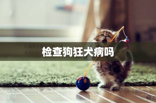 檢查狗狂犬病嗎