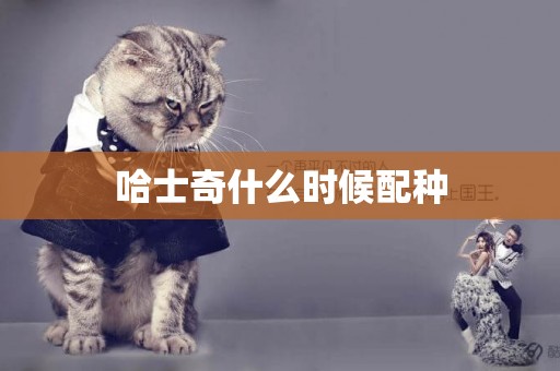 哈士奇什么時候配種