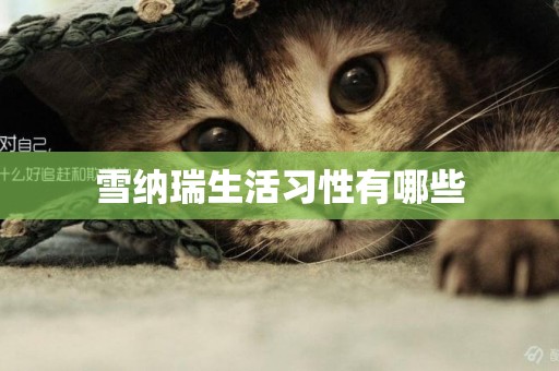 雪納瑞生活習性有哪些