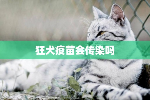 狂犬疫苗會傳染嗎