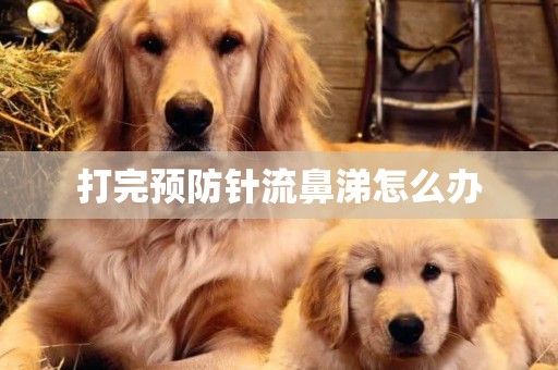 打完預防針流鼻涕怎么辦