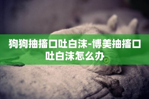 狗狗抽搐口吐白沫-博美抽搐口吐白沫怎么辦