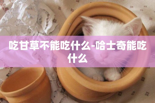 吃甘草不能吃什么-哈士奇能吃什么