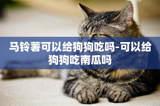 馬鈴薯可以給狗狗吃嗎-可以給狗狗吃南瓜嗎