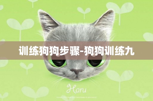 訓練狗狗步驟-狗狗訓練九