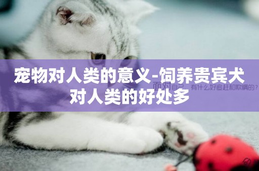 寵物對人類的意義-飼養貴賓犬對人類的好處多