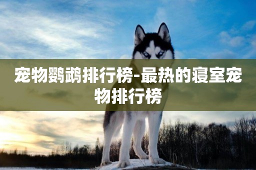 寵物鸚鵡排行榜-最熱的寢室寵物排行榜