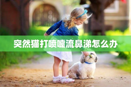 突然貓打噴嚏流鼻涕怎么辦