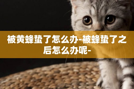 被黃蜂蟄了怎么辦-被蜂蟄了之后怎么辦呢-