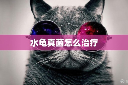 水龜真菌怎么治療