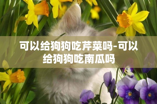 可以給狗狗吃芹菜嗎-可以給狗狗吃南瓜嗎
