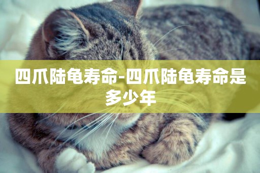 四爪陸龜壽命-四爪陸龜壽命是多少年