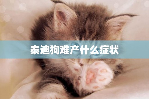 泰迪狗難產什么癥狀