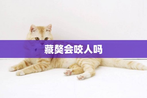 藏獒會咬人嗎
