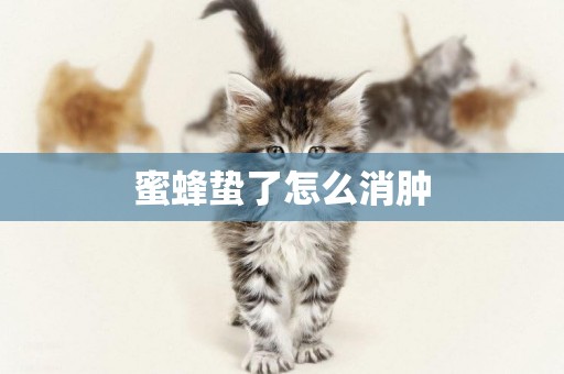 蜜蜂蟄了怎么消腫