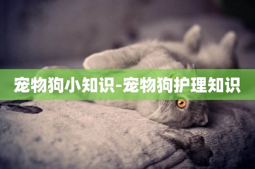 寵物狗小知識-寵物狗護理知識