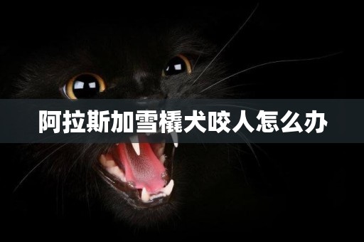 阿拉斯加雪橇犬咬人怎么辦