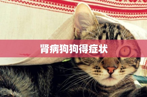 腎病狗狗得癥狀
