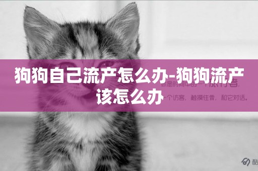 狗狗自己流產怎么辦-狗狗流產該怎么辦