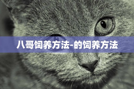 八哥飼養方法-的飼養方法