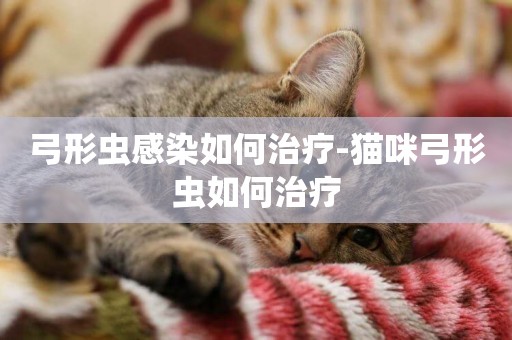 弓形蟲感染如何治療-貓咪弓形蟲如何治療