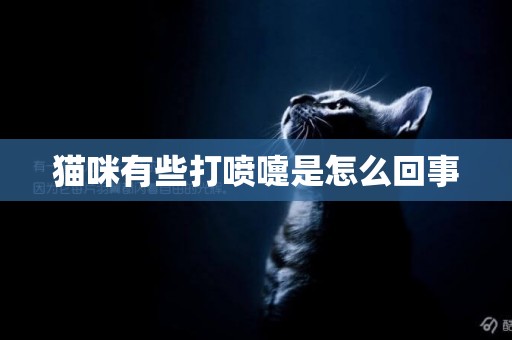 貓咪有些打噴嚏是怎么回事