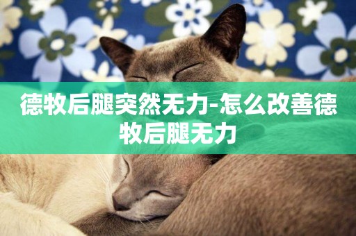 德牧后腿突然無力-怎么改善德牧后腿無力