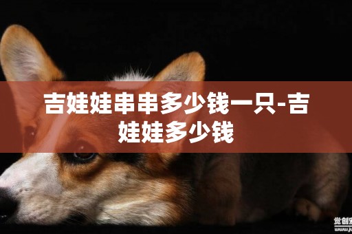 吉娃娃串串多少錢一只-吉娃娃多少錢