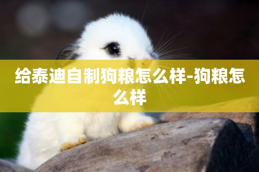 給泰迪自制狗糧怎么樣-狗糧怎么樣