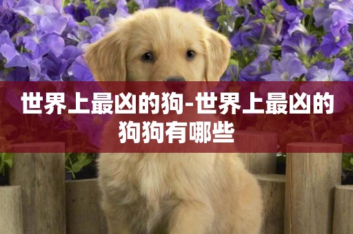 世界上最兇的狗-世界上最兇的狗狗有哪些