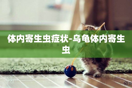 體內寄生蟲癥狀-烏龜體內寄生蟲