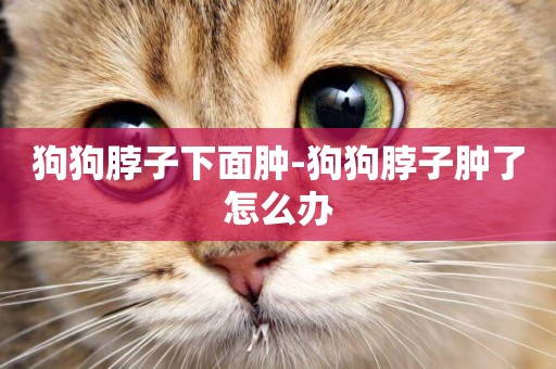 狗狗脖子下面腫-狗狗脖子腫了怎么辦