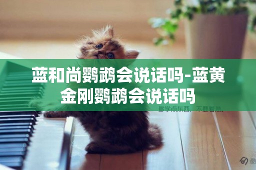 藍和尚鸚鵡會說話嗎-藍黃金剛鸚鵡會說話嗎