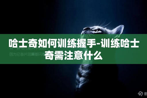 哈士奇如何訓練握手-訓練哈士奇需注意什么