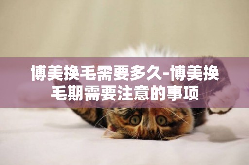 博美換毛需要多久-博美換毛期需要注意的事項