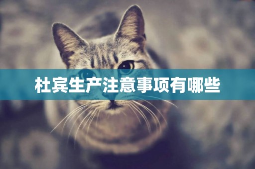 杜賓生產注意事項有哪些