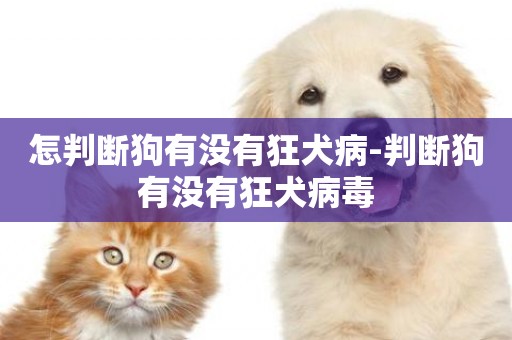 怎判斷狗有沒有狂犬病-判斷狗有沒有狂犬病毒