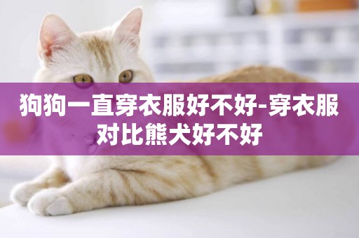 狗狗一直穿衣服好不好-穿衣服對比熊犬好不好