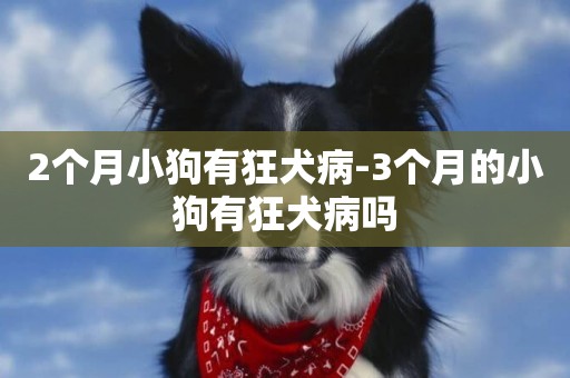 2個月小狗有狂犬病-3個月的小狗有狂犬病嗎
