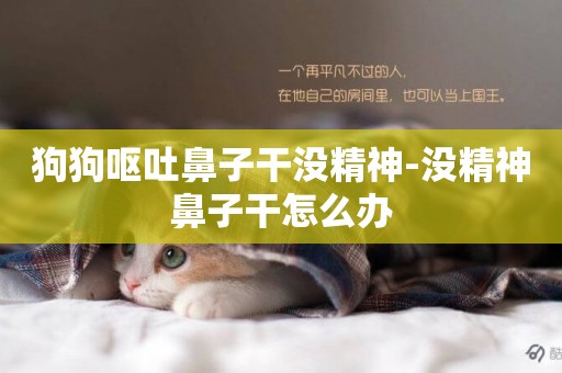 狗狗嘔吐鼻子干沒精神-沒精神鼻子干怎么辦