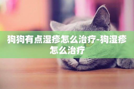 狗狗有點濕疹怎么治療-狗濕疹怎么治療