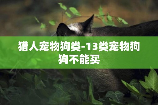 獵人寵物狗類-13類寵物狗狗不能買